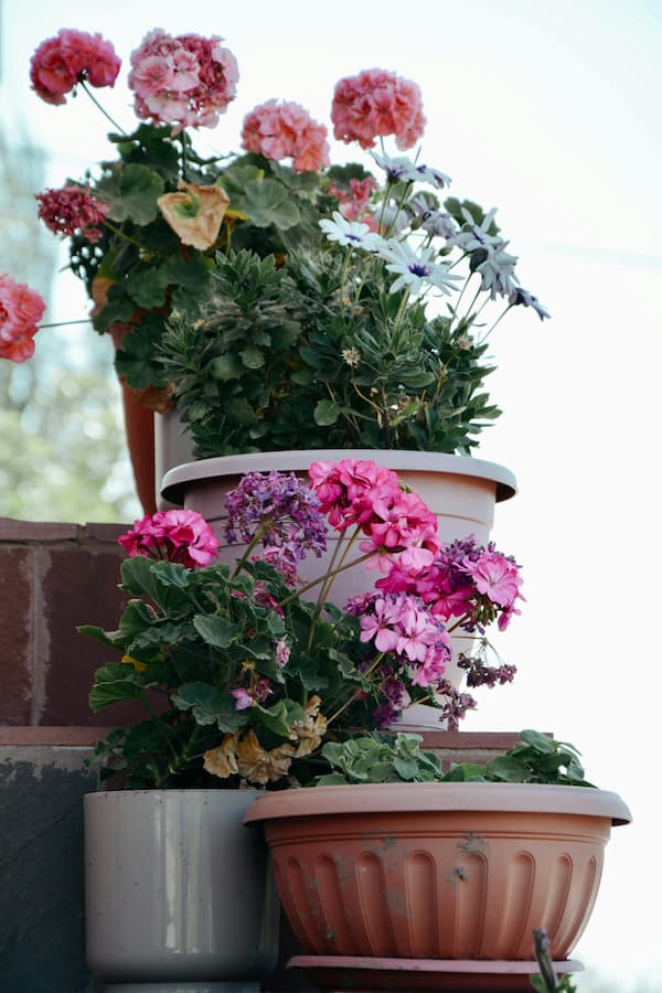  decorative pots